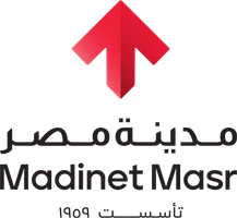 شعار مدينة مصر